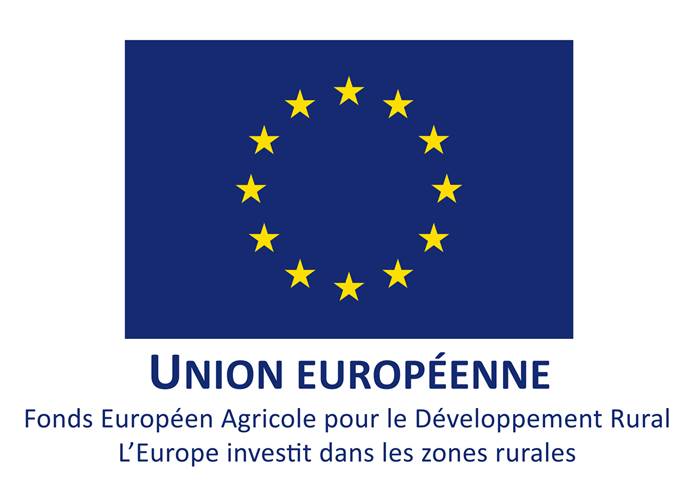 Logo union européenne