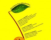 Les notes de la mirabelle