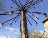 Exposition Arborescences