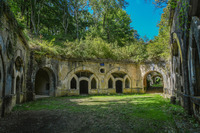 Fort de Liouville : Les chiroptères et leurs mystères