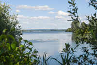 Balade à énigmes Mad'in L'Eau Reine
