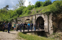 La Flore et le Fort