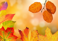 L'automne au vallon de l'Étanche