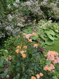 Visite du Jardin sous les Côtes