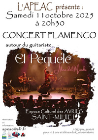 Concert flamenco Alma del Mundo
