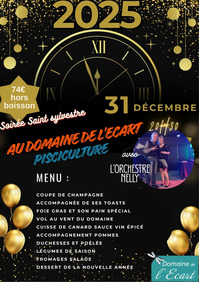 Soirée Saint Sylvestre