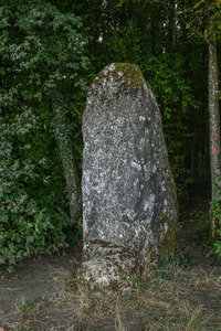 Randonnée