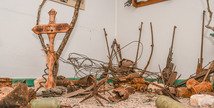 Visite du musée 14-18 de Marbotte - Apremont-la-Forêt