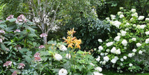 Jardin sous les côtes - Apremont-la-Forêt