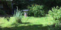 Jardin terre de rêves - Saint-Mihiel
