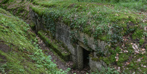 Bois d'Ailly - Tranchée de la Soif - Han-sur-Meuse