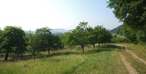 Les côtes de Meuse - Vigneulles-lès-Hattonchâtel