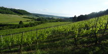 Domaine de Meussaumont - Vigneulles-lès-Hattonchâtel