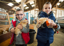 Ferme pédagogique de Woimbey - Woimbey