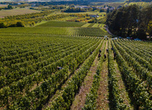 Domaine de l'Aumonière - Vigneulles-lès-Hattonchâtel