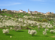 Village remarquable d'Hattonchâtel - Vigneulles-lès-Hattonchâtel
