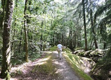 BOIS D'AILLY - TRANCHEE DE LA SOIF - Han-sur-Meuse