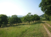 Les côtes de Meuse - Vigneulles-lès-Hattonchâtel
