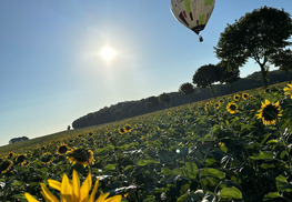 Fly Montgolfière - Vigneulles-lès-Hattonchâtel