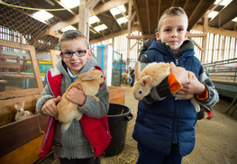 Ferme pédagogique de Woimbey - Woimbey