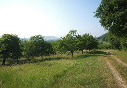 Les côtes de Meuse - Vigneulles-lès-Hattonchâtel