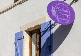 Chambres d'hôtes l'orchidée sauvage - Han-sur-Meuse