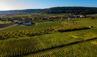 Domaine de Muzy - Combres-sous-les-Côtes