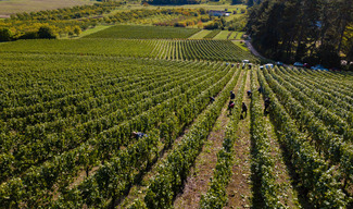 Domaine de l'Aumonière - Vigneulles-lès-Hattonchâtel