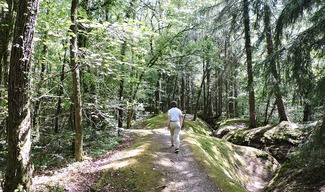 BOIS D'AILLY - TRANCHEE DE LA SOIF - Han-sur-Meuse
