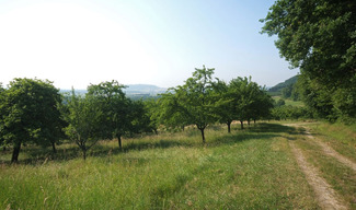 Les côtes de Meuse - Vigneulles-lès-Hattonchâtel