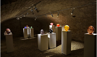 Galerie d'exposition la Salamandre - Apremont-la-Forêt