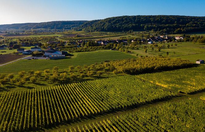 Domaine de Muzy 1 - Combres-sous-les-Côtes