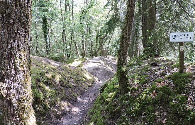 BOIS D'AILLY - TRANCHEE DE LA SOIF 2 - Han-sur-Meuse