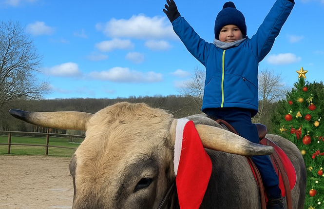 Animations de Noël avec Aston le Taureau 1 - Vigneulles-lès-Hattonchâtel
