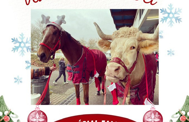 Animations de Noël avec Aston le Taureau 2 - Vigneulles-lès-Hattonchâtel