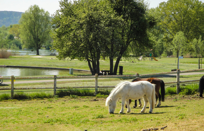 Haras de Madine 4 - Heudicourt-sous-les-Côtes