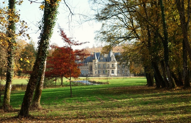 Parc du château de Thillombois 1 - Thillombois