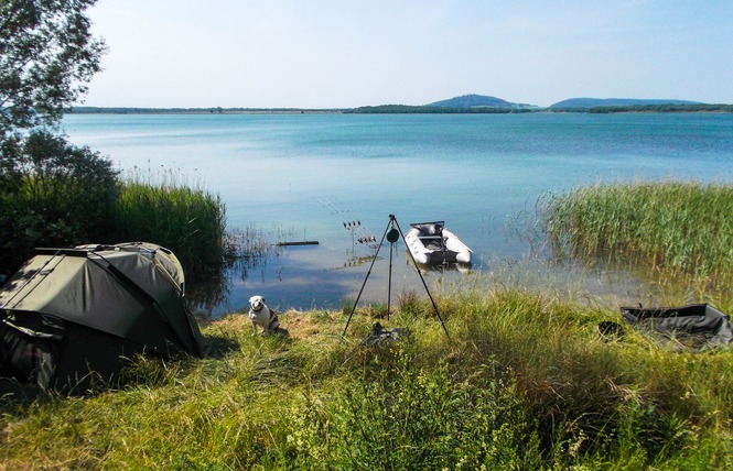 Il pêche la plus grosse carpe de l'histoire du lac de Madine