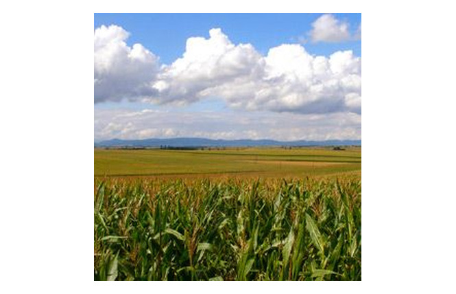 Ferme Oudinot 2 - Saint-Mihiel