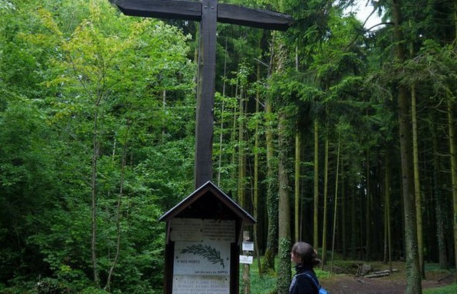 TRANCHEES DE BOIS BRULE ET CROIX DES REDOUTES 3 - Apremont-la-Forêt