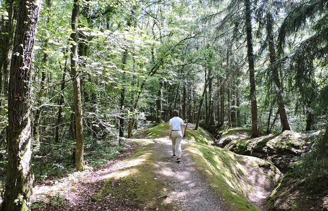 BOIS D'AILLY - TRANCHEE DE LA SOIF 1 - Han-sur-Meuse