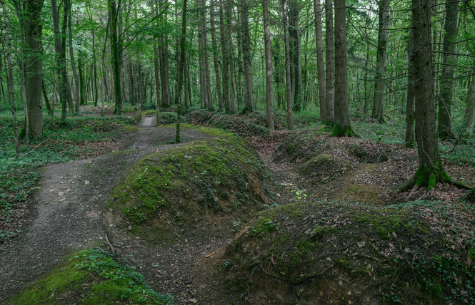 Bois d'Ailly - Tranchée de la Soif 2 - Han-sur-Meuse
