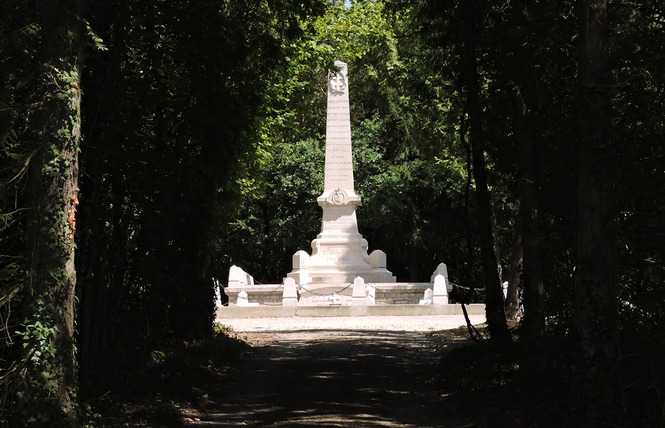 BOIS D'AILLY - TRANCHEE DE LA SOIF 3 - Han-sur-Meuse