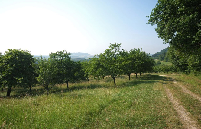 Les côtes de Meuse 1 - Vigneulles-lès-Hattonchâtel