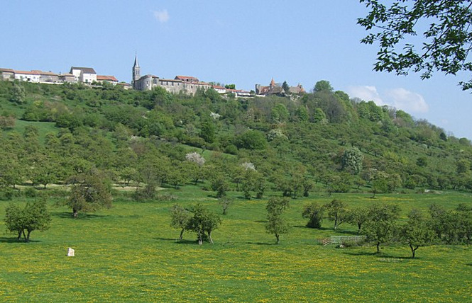 Les côtes de Meuse 5 - Vigneulles-lès-Hattonchâtel