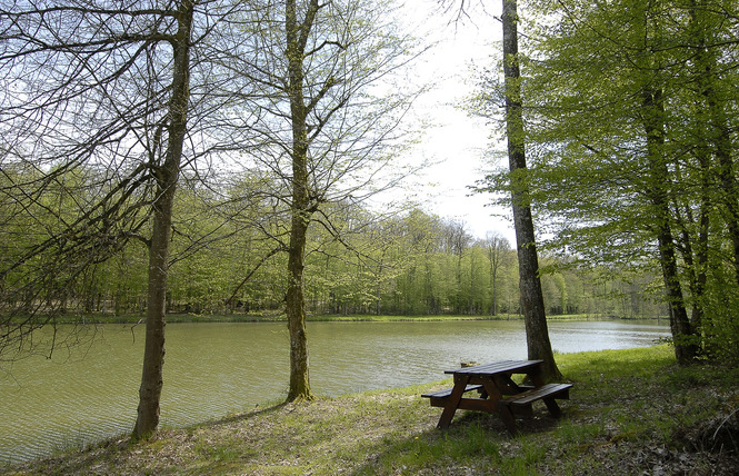 Aire de stationnement camping-cars 2 - Beaulieu-en-Argonne