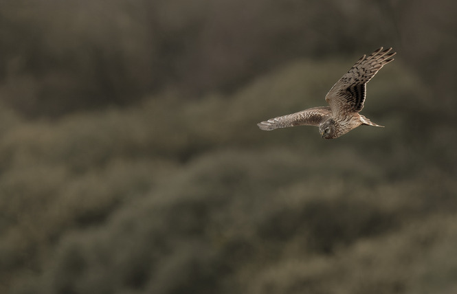 Stage photographique en bateau 2 - Nonsard-Lamarche