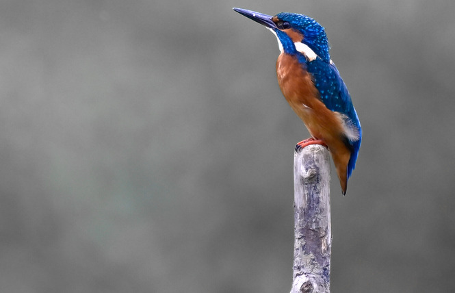 Stage photographique en bateau 5 - Nonsard-Lamarche