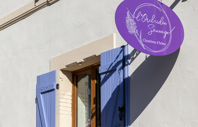Chambres d'hôtes l'orchidée sauvage 1 - Han-sur-Meuse
