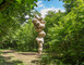 Vent des forêts 3 - Fresnes-au-Mont